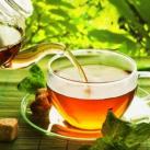 Международная классификация чая  (International Classification of tea)