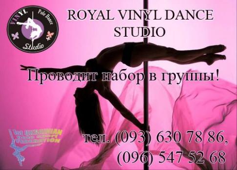 VINYL POLE DANCE STUDIO