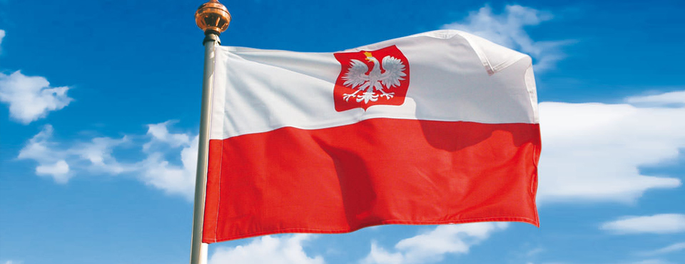 Польская рабочая виза 365/180 + регистрация всего 3500грн