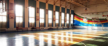 ВДПУ (Баскетбольний спортивний зал)