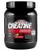 Activlab Creatine Powder 600 g