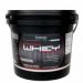 Ultimate Nutrition Prostar Whey 4.5 кг (10 lb)