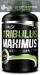 BioTech Tribulus Maximus 90 tab