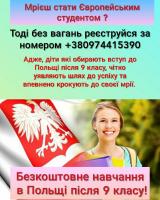 Бесплатное обучение в Польше