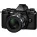 Фотоаппарат OLYMPUS E-M5 mark II 14-150 II Kit black/black (V207043BE000)
