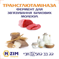 Трансглютаминаза ENZIM - Фермент, пищевая добавка