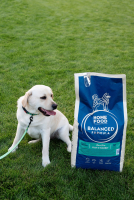 Сухий корм для собак ''Риба та кролик" Sensitive Balanced Formula (10 кг) Home Food